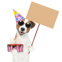 Jack russell terrier puppy wearing sunglasses and party cap holds cake with lots burning candles and shows empty placard. isolated on white background