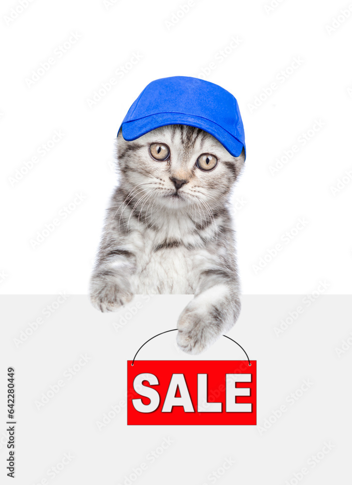 Aufkleber cat wearing blue cap holds signboard with labeled 