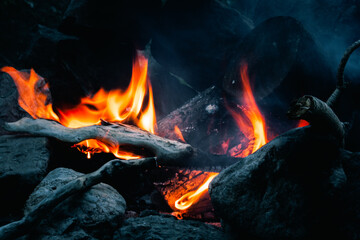 Drift wood campfire