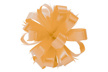 Orange gift bow ribbon isolated on transparent background.