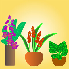 Flower and Leaves Decorated in Vase Set Illustration Background use for art job, etc.