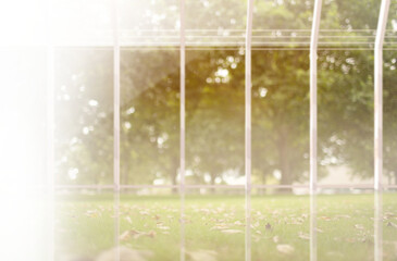 Digital png illustration sunny field with trees trough fence on transparent background