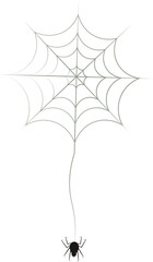Digital png illustration of black spider hunging from web on transparent background