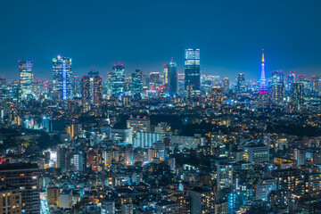 恵比寿の高層ビルから見た東京の夜景