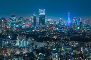 Fototapeta na wymiar 恵比寿から見た東京の夜景