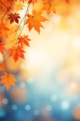 Naklejka na ściany i meble Autumn leaves over a blurred background, beautiful fall colors