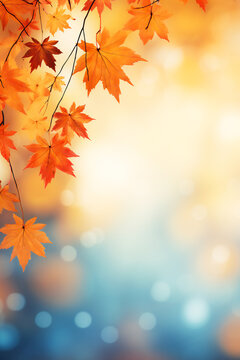Autumn leaves over a blurred background, beautiful fall colors