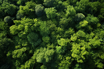 Naklejka premium Green forests top view. Generative AI