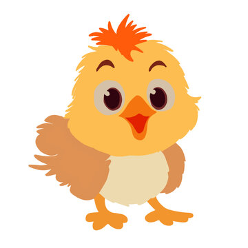 Cute chicken isolated on white background. Vector illustration