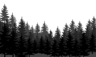 Vector pine trees silhouettes evergreen coniferous forest silhouette nature spruce tree park view vector