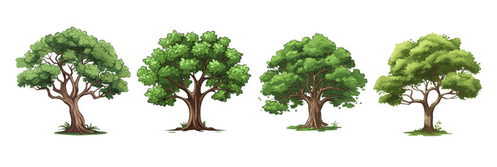 set of trees isolated on white © Mohsin