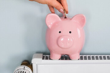 Woman Hand Inserting Coin In Piggybank On Radiator