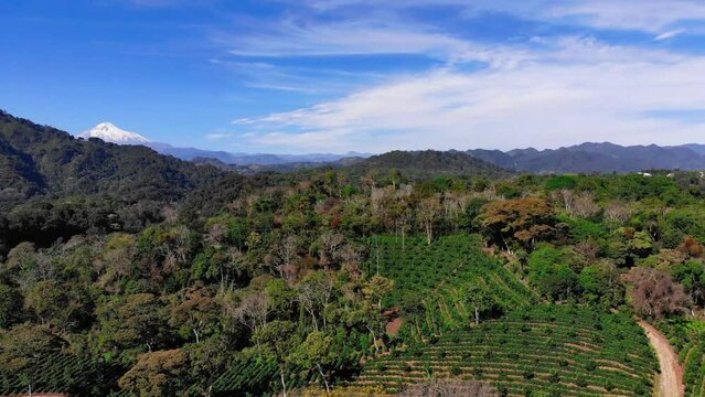 Paisaje en dron de Pico de Orizaba y finca de caf&eacute; en Huatusco.