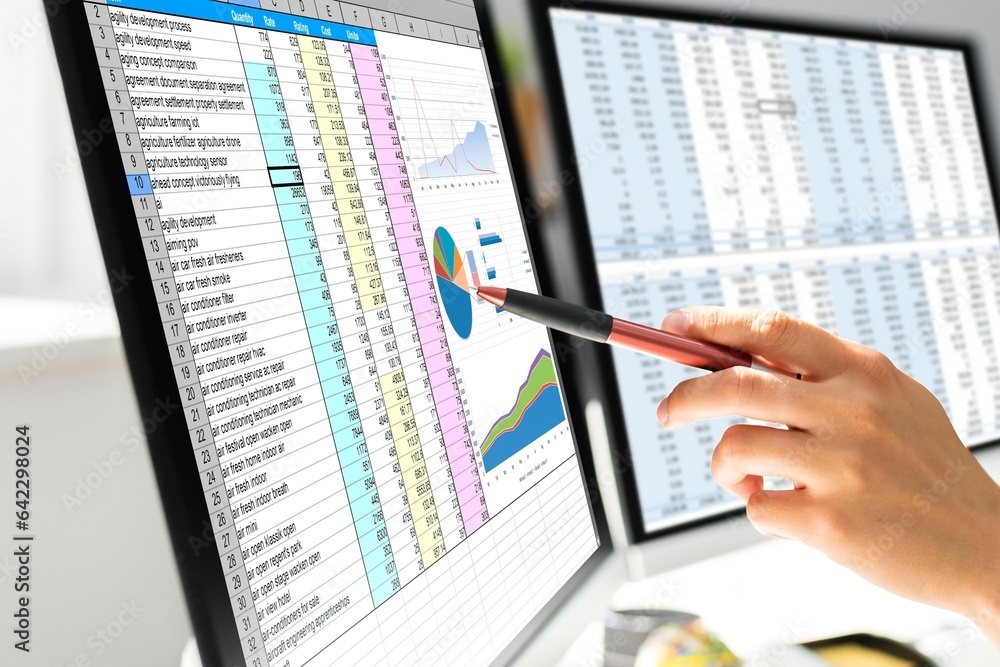 Poster analyst working with spreadsheet business data