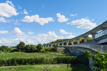 Fototapeta premium Blue sky clouds of green grass in rice field