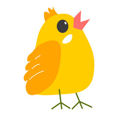 Chicken animal, cute chick personage avian bird