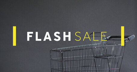 Image of flash sale text over shopping trolley