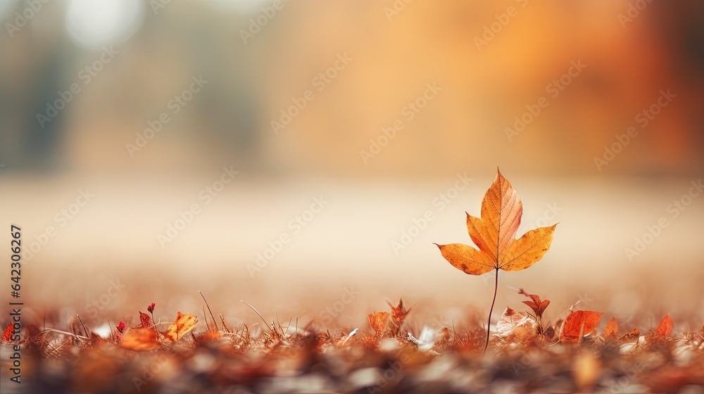 Poster a single leaf is sitting in the middle of a field. generative ai