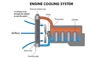 Diagram of the engine cooling system of a car, the radiator