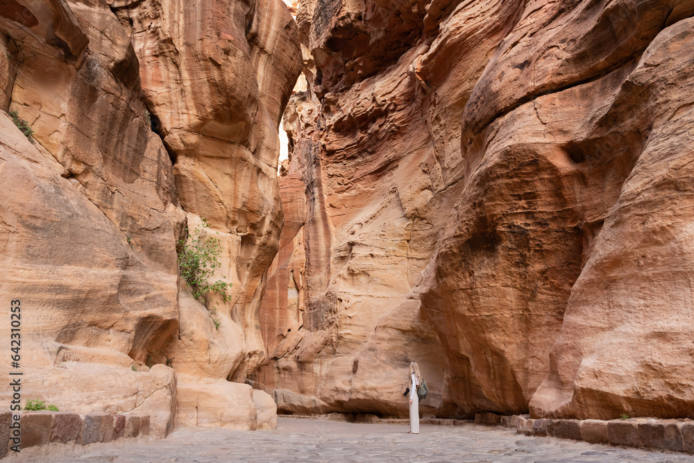 Wall mural blonde woman in the siq, the way to al khazneh (the treasury), ancient city of petra, jordan