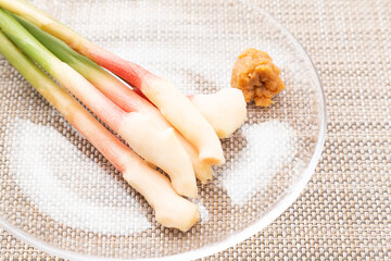 盛り付けられた葉生姜