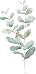 Watercolor Botanical Leaves Elements