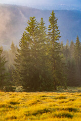 Photo of dawn in the mountains