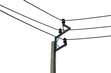 Electric light pole on transparent background