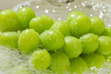 シャワー水とシャインマスカット