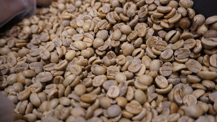 close up shot of raw unroasted coffee bean whole