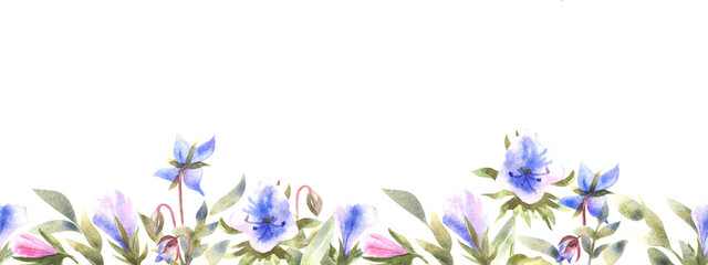 Pink and blue flowers. Watercolor seamless border of garden and meadow flowers