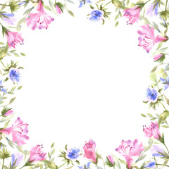 Obraz na płótnie Canvas Watercolor frame of pink and blue meadow flowers on transparent background
