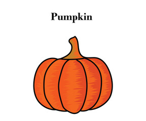 Pumpkin for Halloween or Thanksgiving colorful design with vector illustrations