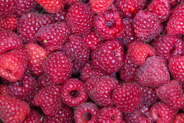 red raspberries textured background