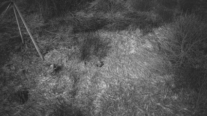 Men Dressed As US American Soldiers Of USA Infantry Of World War II sneaking around In spring Autumn Day. Soldiers Marching In meadow . Aerial view elevated shot,