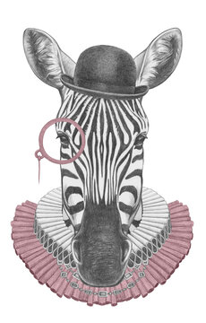 Portrat of Zebra with Elizabethan Collar, Bowler Hat and Monocle. Hand-drawn illustration