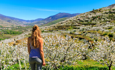Woman standing enjoying beautiful landscape in Spain- Jerte valley,  cherry tree
