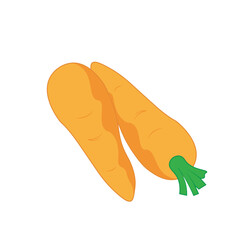 Vegetable Illustration