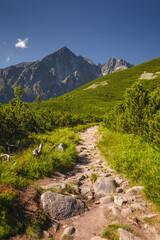 Warm and colorful summer in the High Tatras - sharp peaks, lakes and beautiful views.
