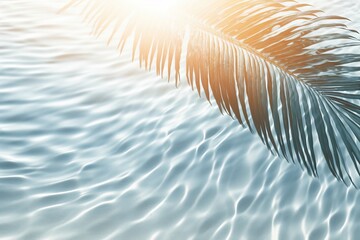 sand concept sand palm abstract beach sun the abstract beach vacation background beautiful palm background water leaf summer surface lea lights white shadow banner leaf - obrazy, fototapety, plakaty