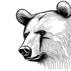 bear vector animal illustration for design. Sketch tattoo design on white background