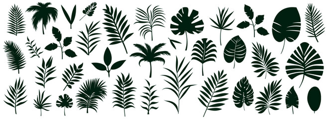 Set of silhouettes of palm leaves isolated on white background. black foliage. Vector illustration