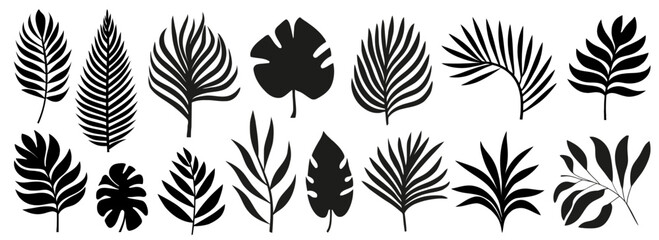 Set of silhouettes of palm leaves isolated on white background. black foliage. Vector illustration