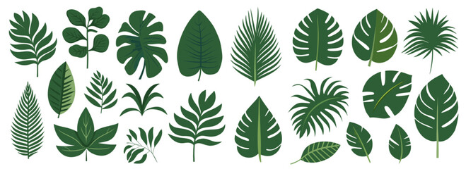 Fototapeta na wymiar Collection of tropical leaves. Flat isolated elements on a white background. Vector illustration