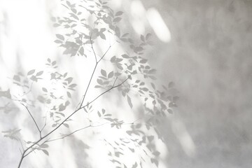 garden plant concrete pattern white black pattern light shadow sunn wall background Leaf wall trees foliage background branch abstract silhouette shadow texture Blurred leaf white leaf tree dappled