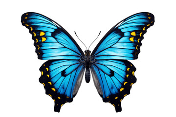Grace of a Butterfly isolated on a transparent background. Generative Ai