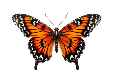 Butterfly isolated on a transparent background. Generative Ai