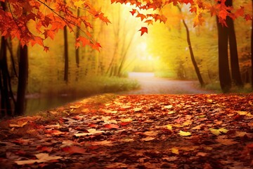 fall fall maple einen light leaf foliage Hintergrund tree Herbst red breiten panorama unscharfen background Bunte nature Wald Bl