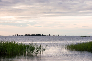 View over the reeds to the sea
