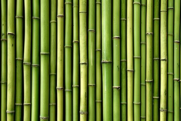 culture bark background bind square grass wall line background wood organic oriental bundle green natural stick bamboo chinese gardenin decoration decor tree traditional bamboo fence tropical fence - obrazy, fototapety, plakaty